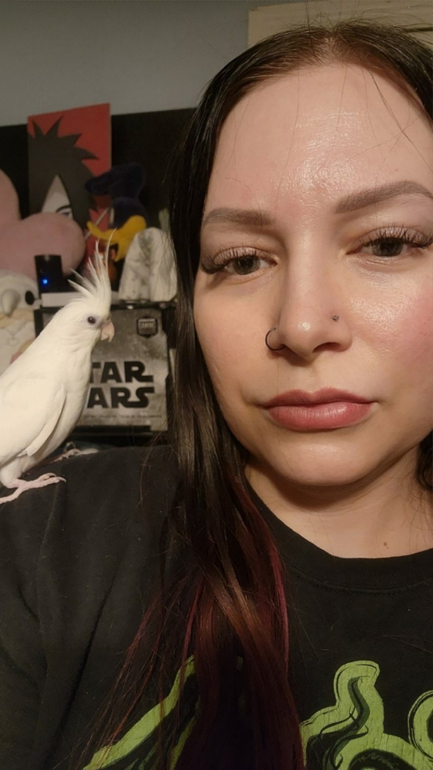 Boo, the white cockatiel, perched near Raven