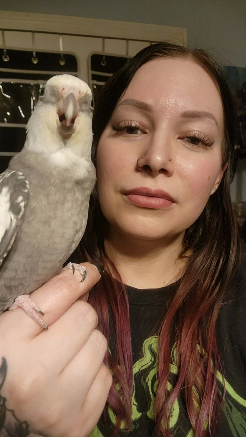 Jack, the gray-and-white cockatiel, perched on Raven's hand