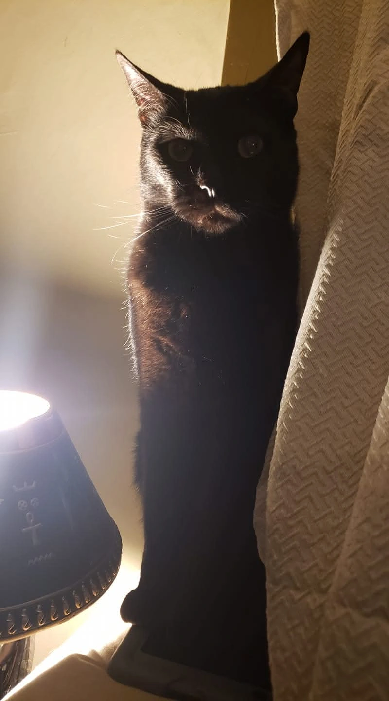 Ra's Al Ghul standing in a dramatic beam of light