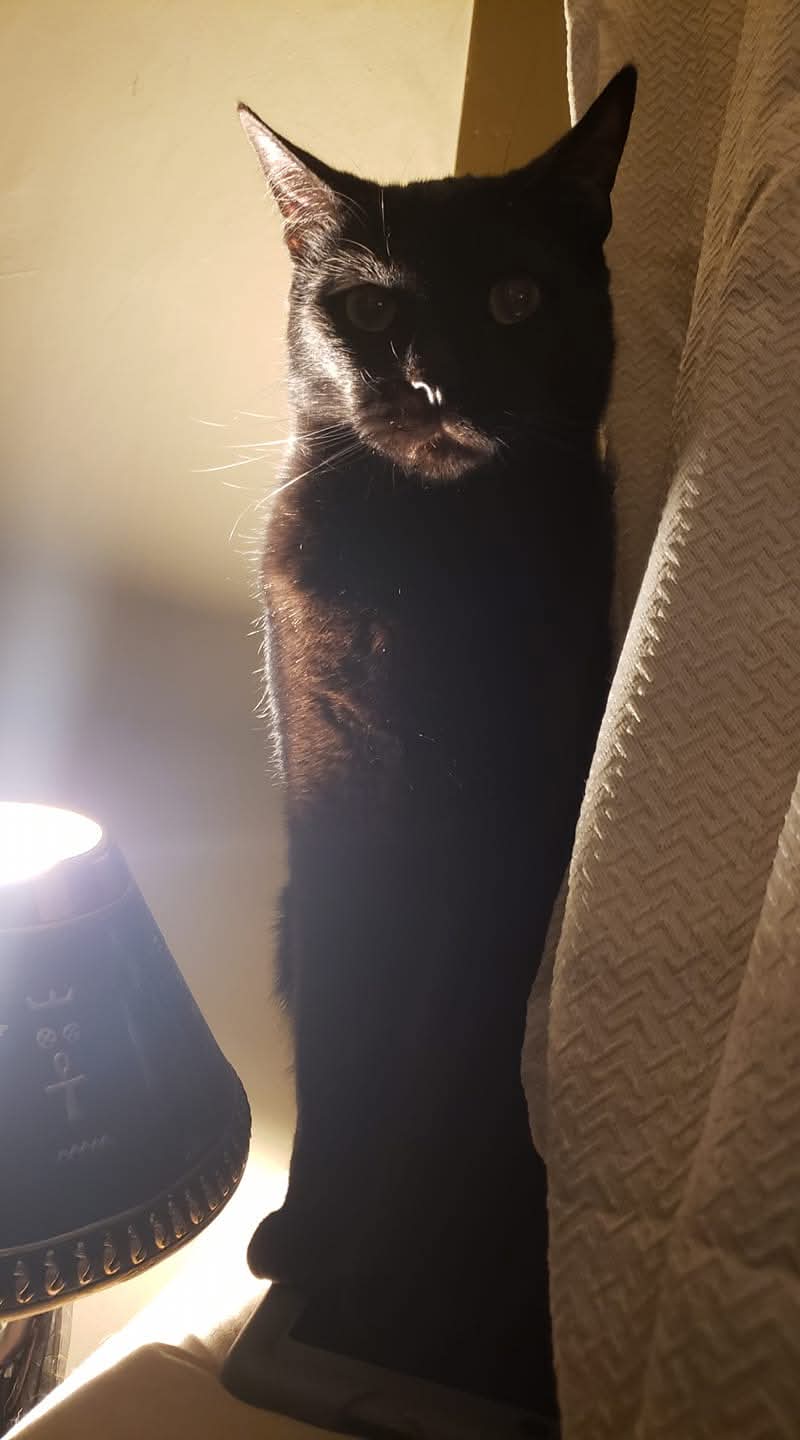 Ra's Al Ghul standing in a dramatic beam of light