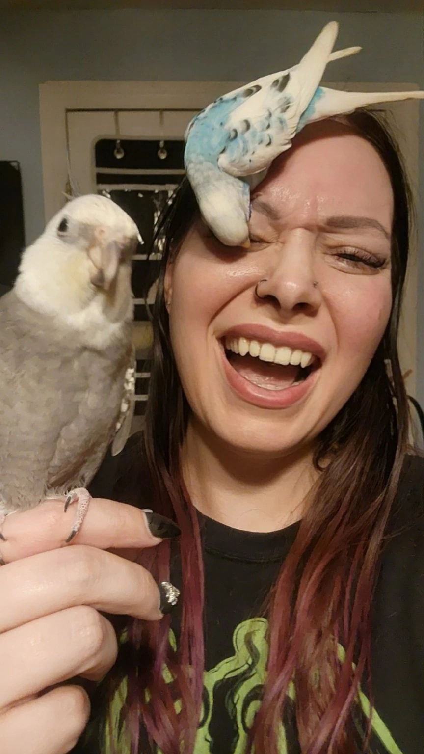 Sora the parakeet investigating Raven's forehead while Jack looks on