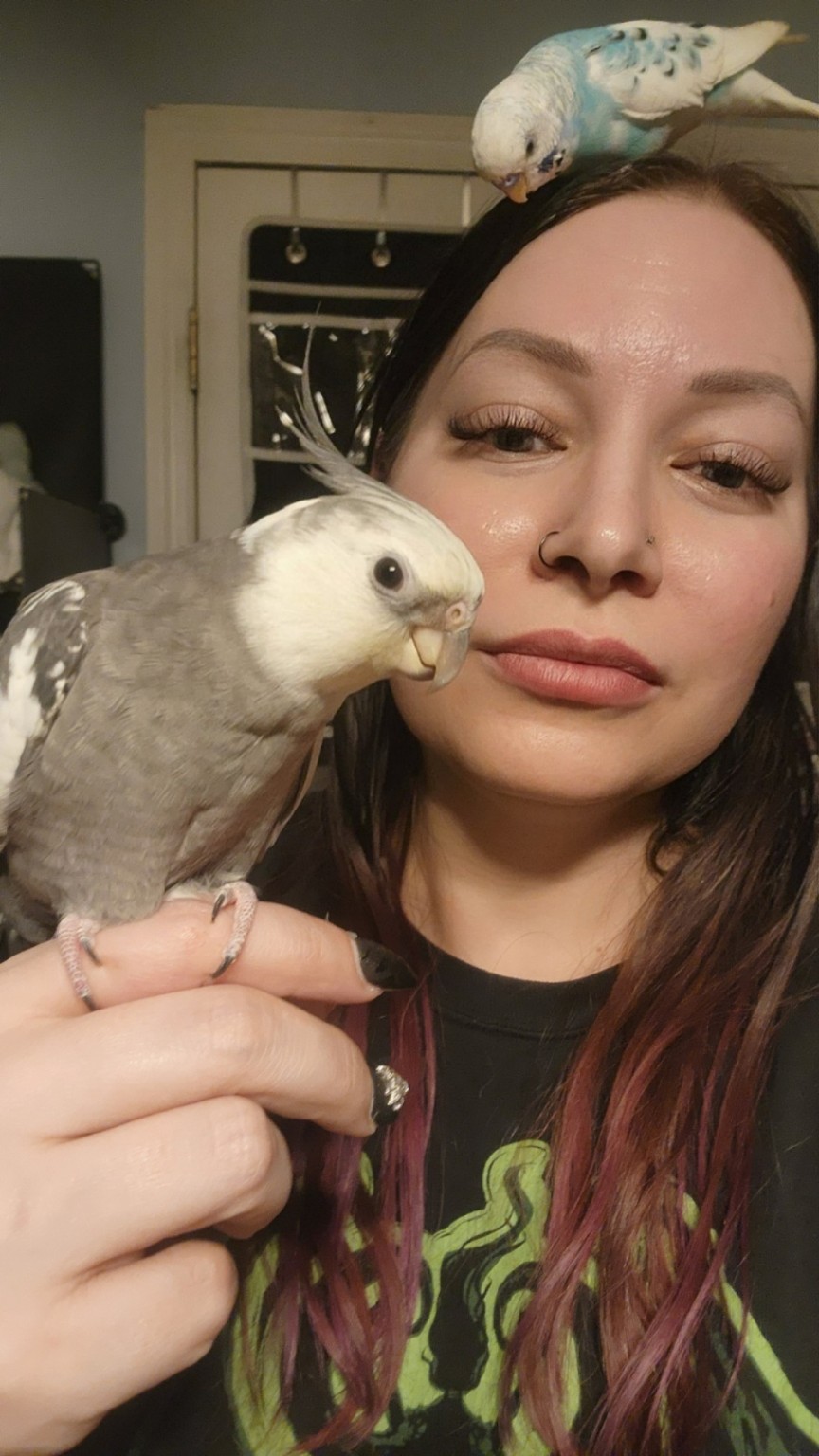 Sora, the blue-and-white parakeet, perched on Raven's head while Jack the cockatiel sits beside her