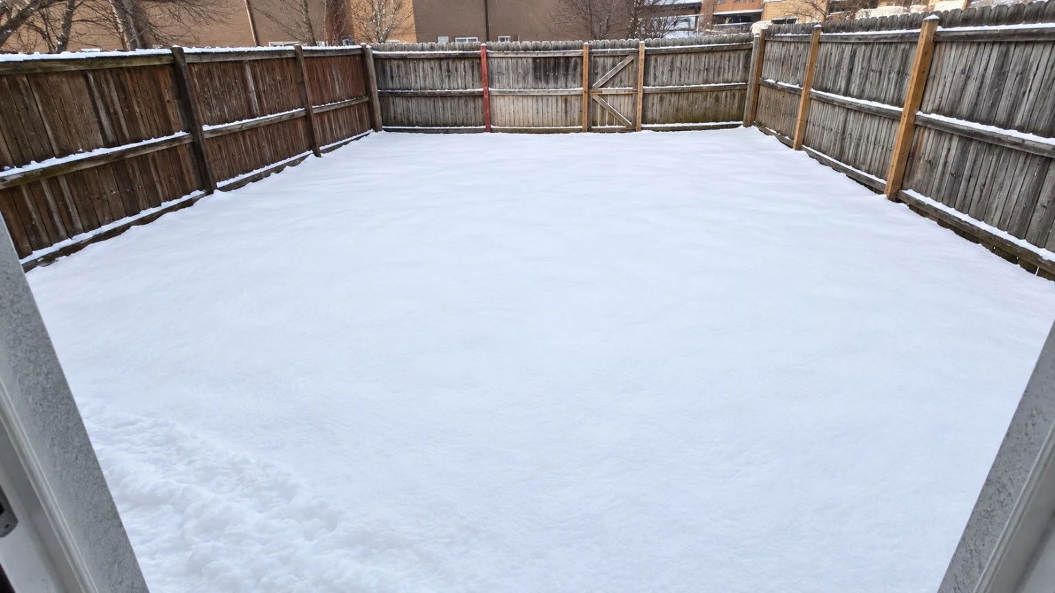 The home's fully privacy-fenced backyard after a fresh winter snowfall