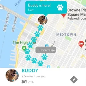 Real-time GPS tracking map for peace of mind