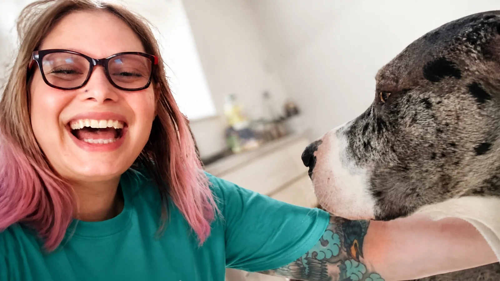 Raven building trust with a Great Dane during personalized in-home pet care