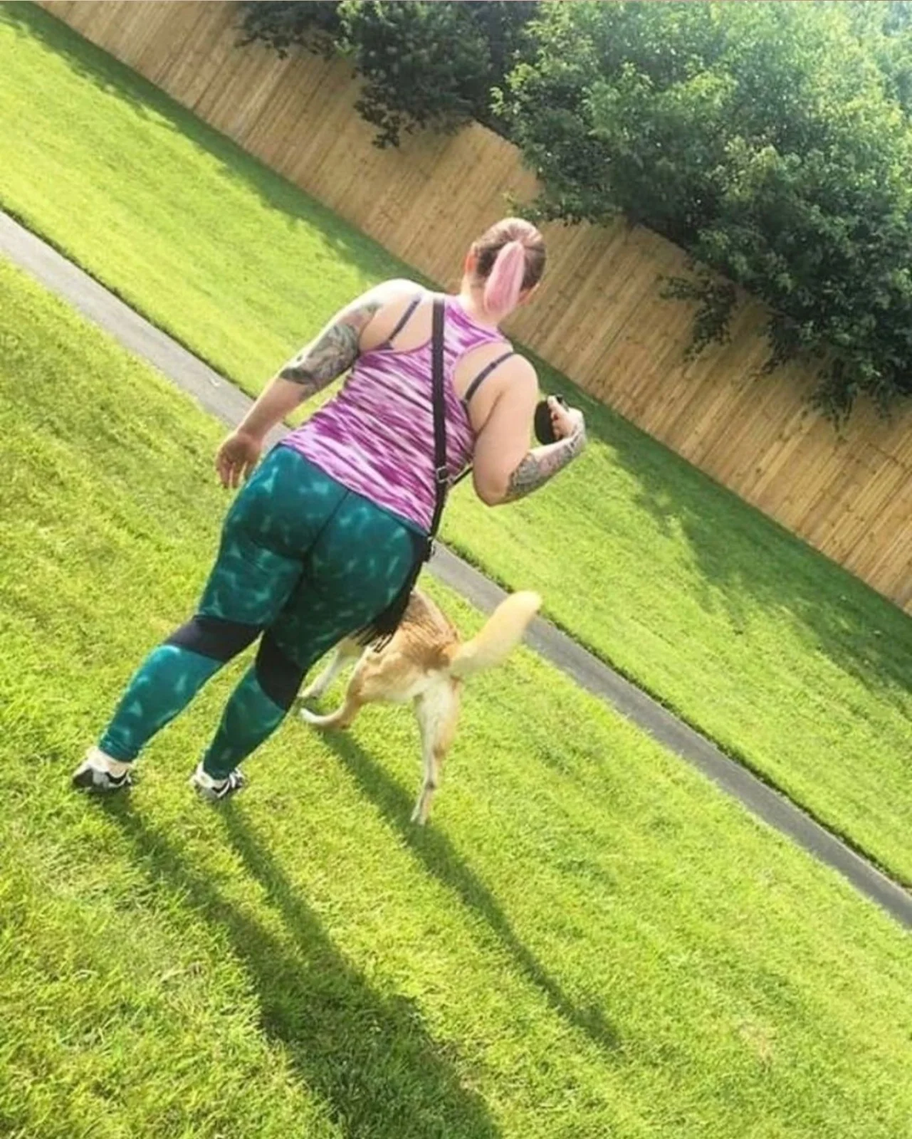 Mid-Day Walks, Drop-Ins, or Daycare: Choosing the Best Support for Your Louisville Pet