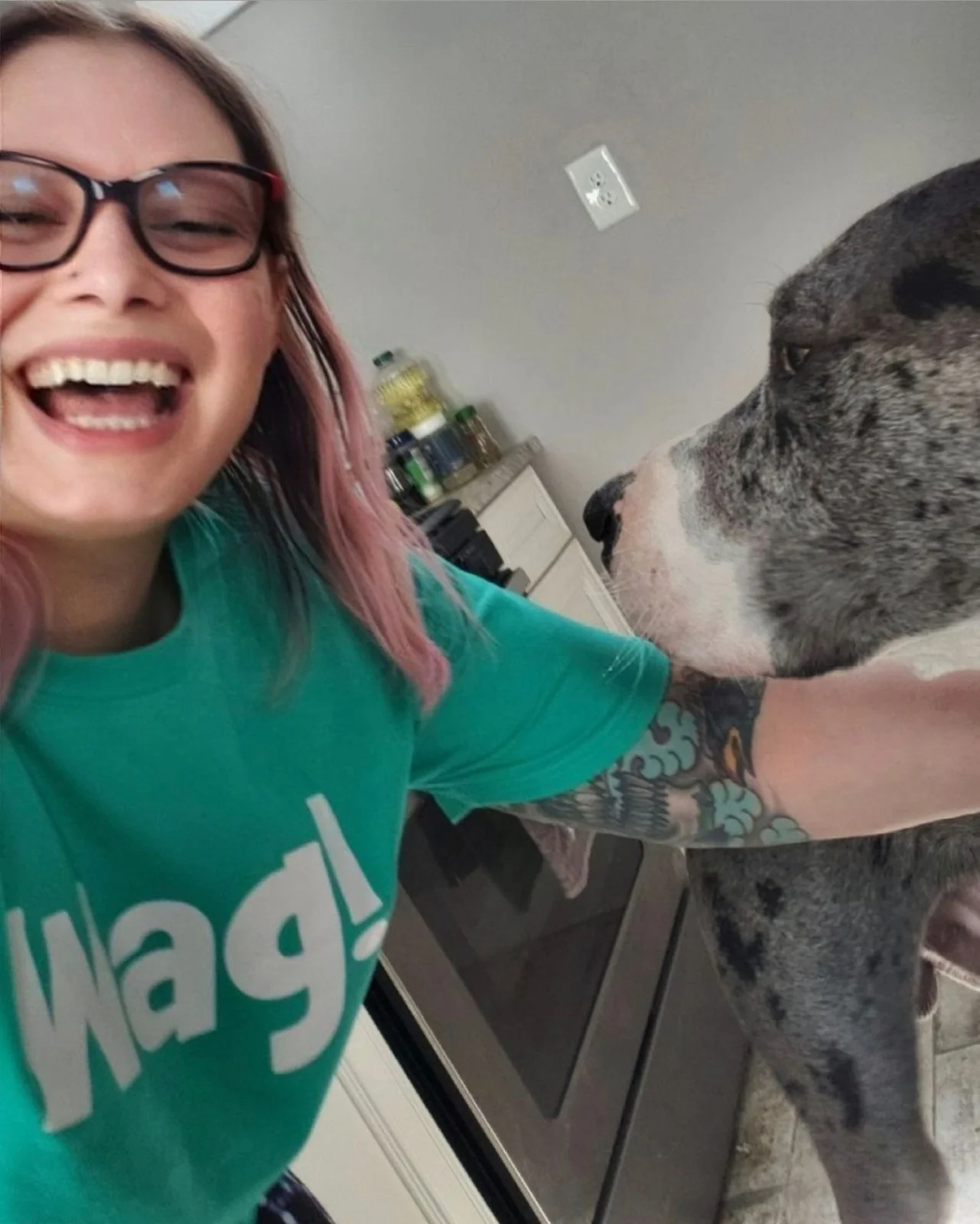 Great Dane enjoying personalized in-home pet care