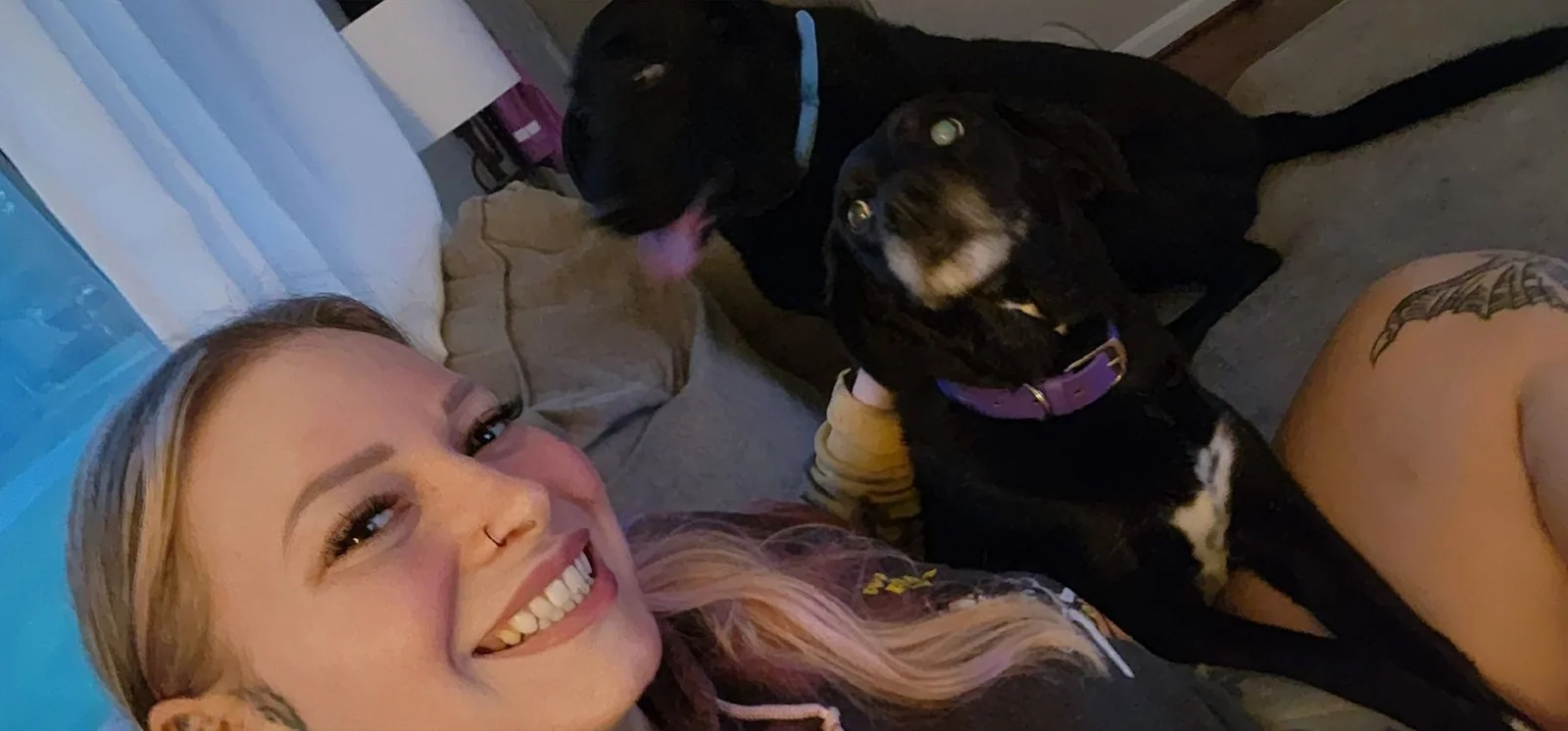 24-Hour Pet Care in Louisville: When Your Pet Shouldn't Be Left Alone