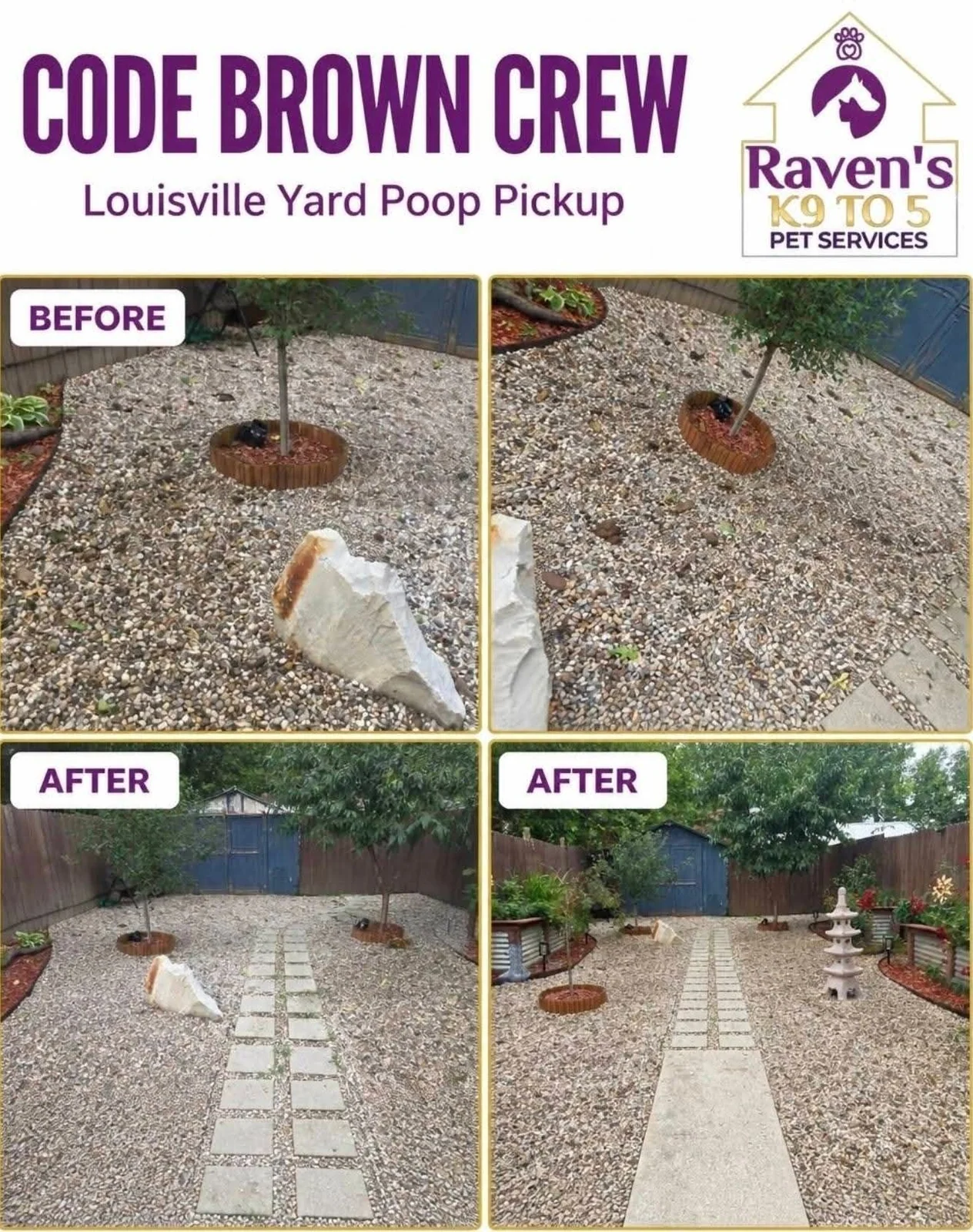 One-Time vs. Weekly Dog Poop Removal: Which Service Is Right for Your Louisville Yard?